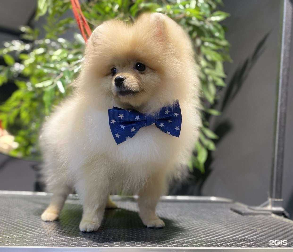 Отзывы на компанию Гаврики в Реутове c фото