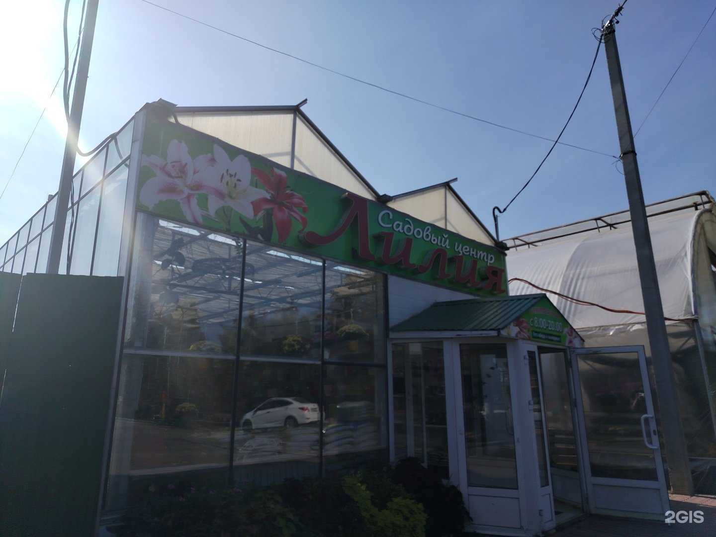 Отзывы на компанию Лилия в г. Сарапул c фото