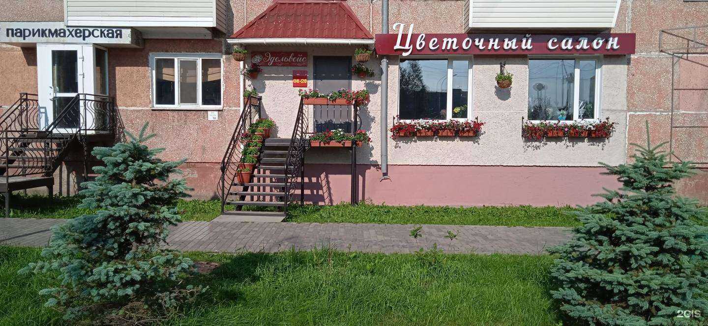 Отзывы на компанию Эдельвейс в Советской Гавани c фото