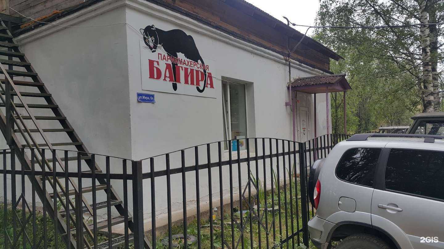 Отзывы на компанию Багира в Сыктывкаре c фото - фотография 2 из 2