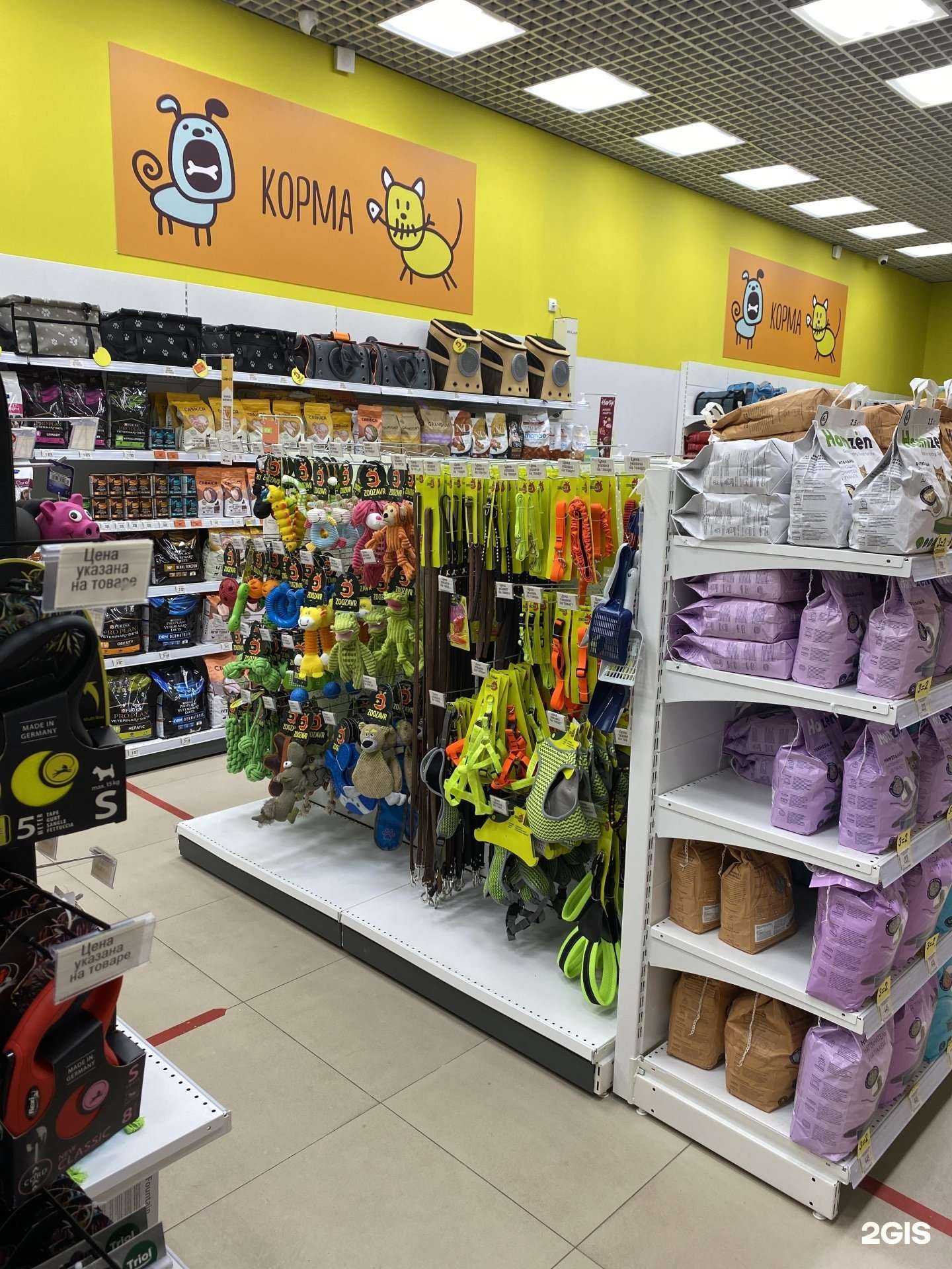 Отзывы на компанию Зоозавр в Долгопрудном c фото