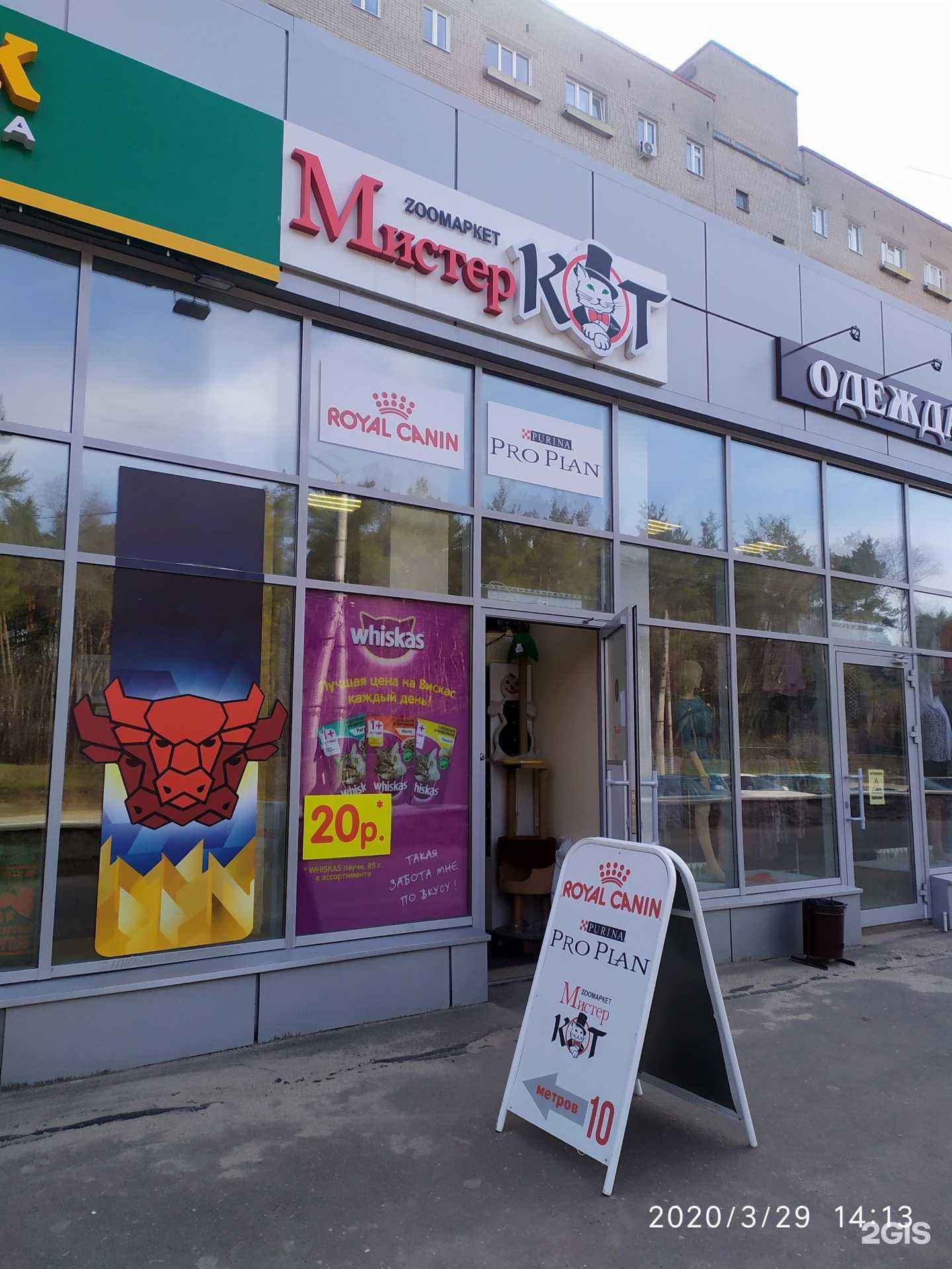 Отзывы на компанию Мистер Кот в Воронеже c фото