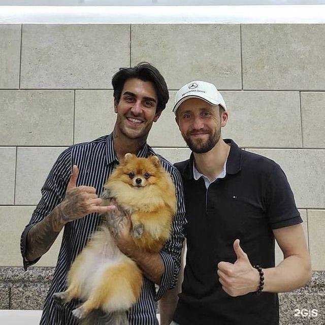 Отзывы на компанию Love Dog в г. Калининград c фото