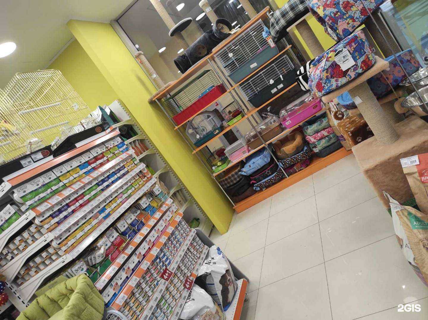 Отзывы на компанию Академия домашних животных в Самаре c фото