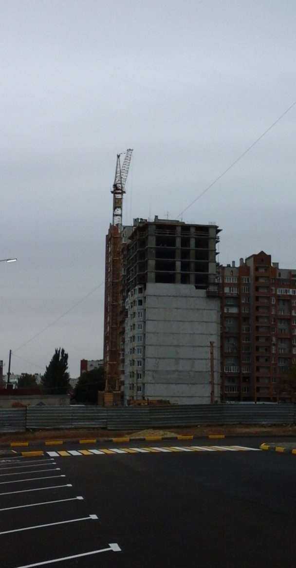 Отзывы на компанию Волгоградская лига дзюдо и самбо в Волгограде c фото - фотография 2 из 2