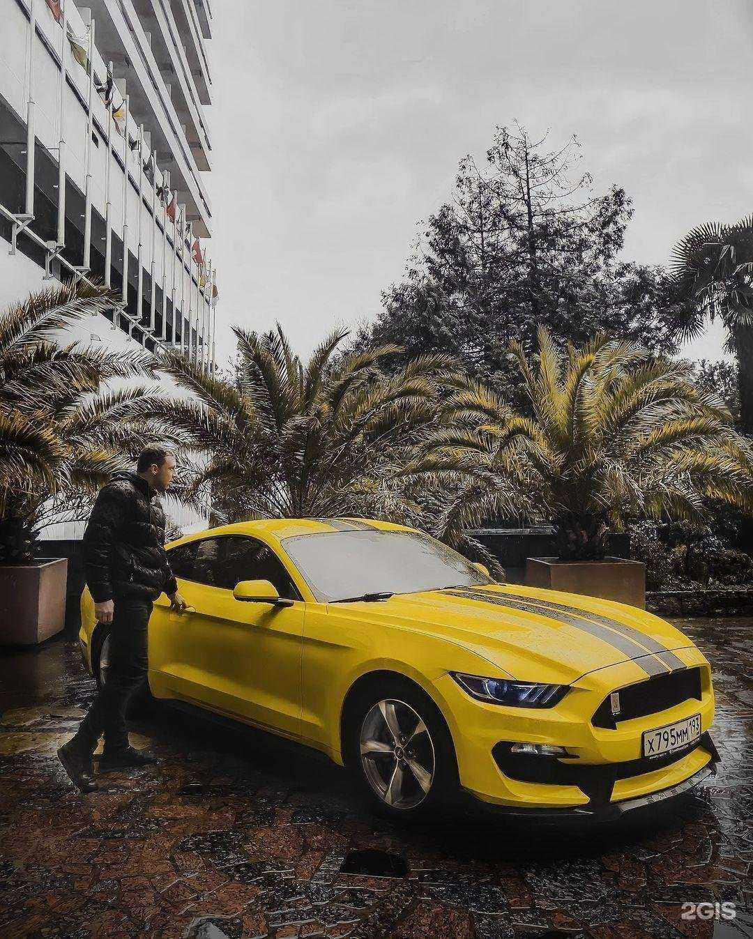 Отзывы на компанию Скутер-Персонал в Ростове-на-Дону c фото