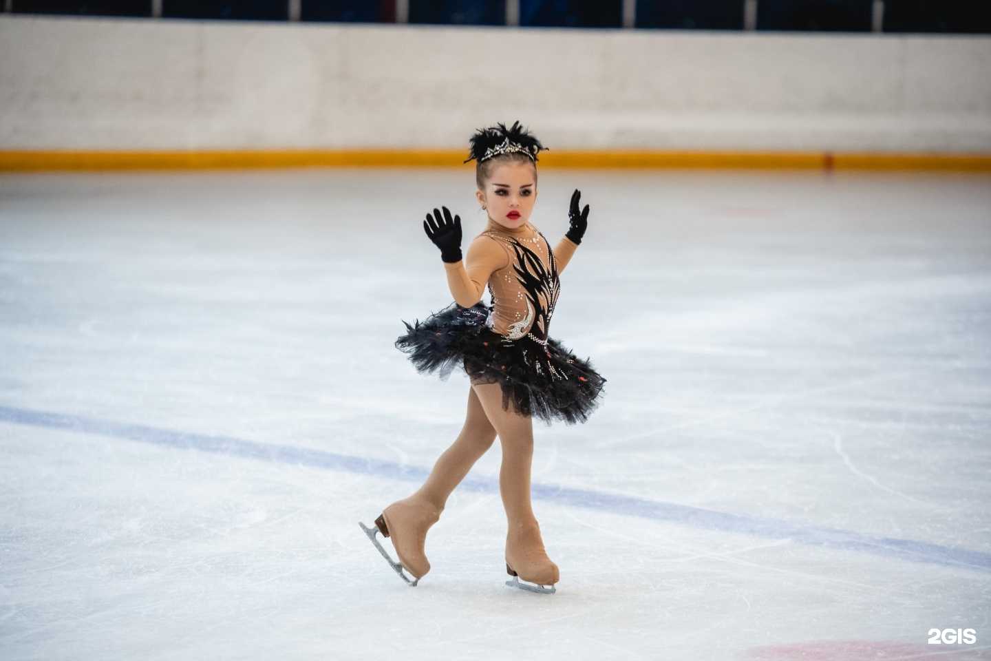 Отзывы на компанию Магия льда в Новосибирске c фото