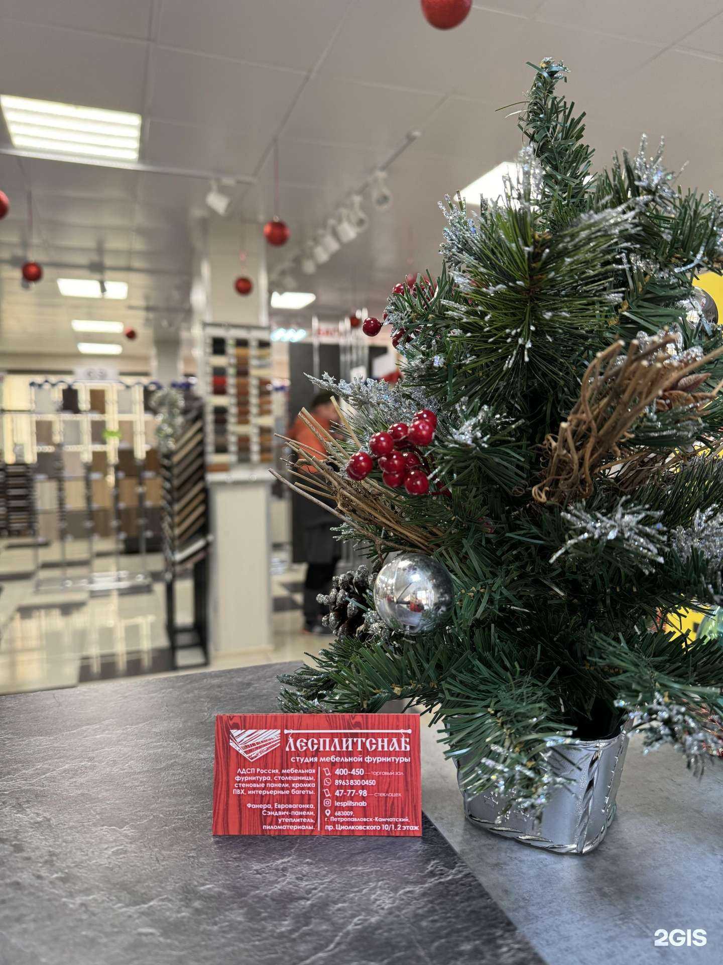 Отзывы на компанию Лесплитснаб в Петропавловске-Камчатском c фото