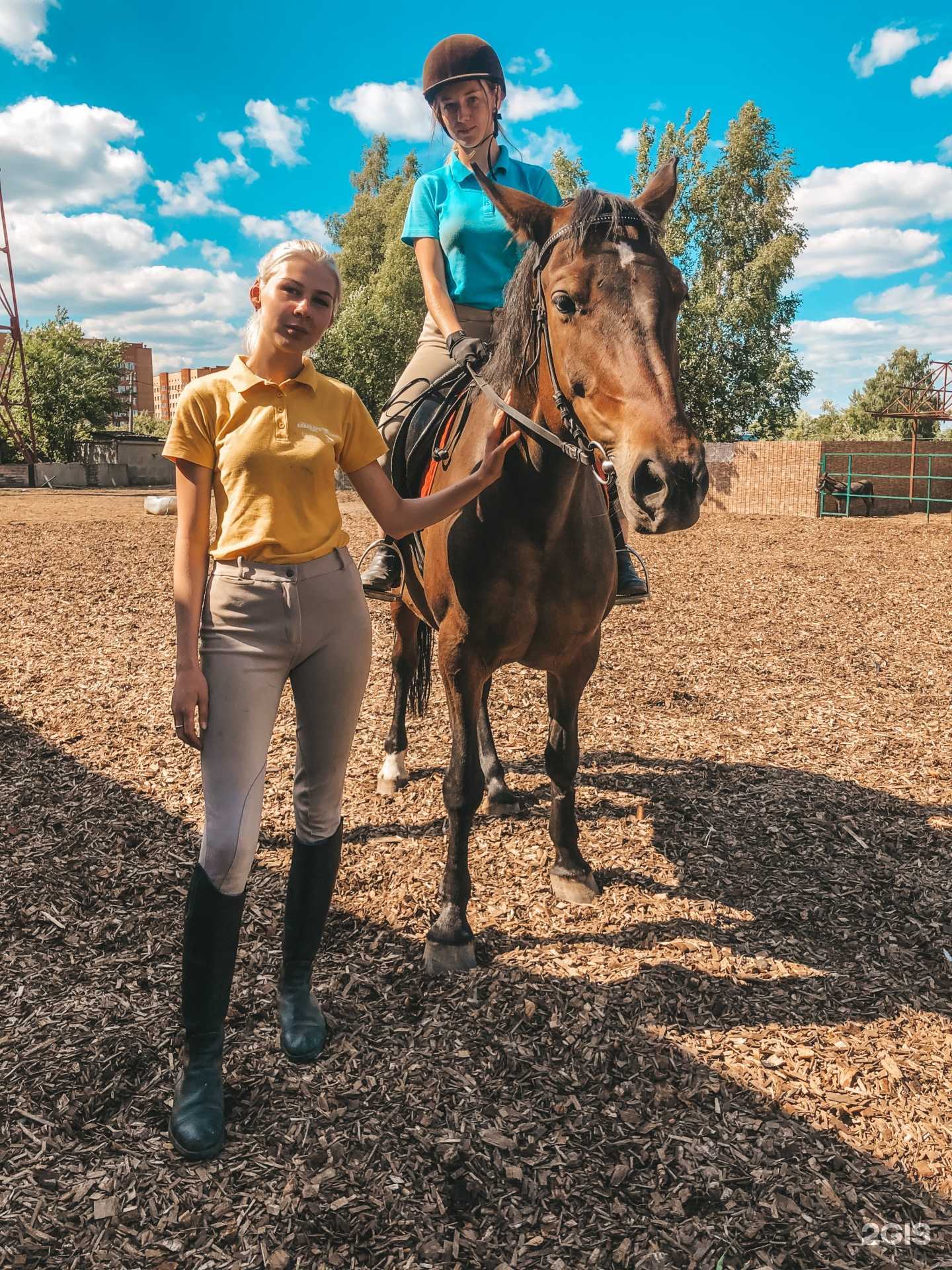 Отзывы на компанию Конная усадьба в г. Егорьевск c фото