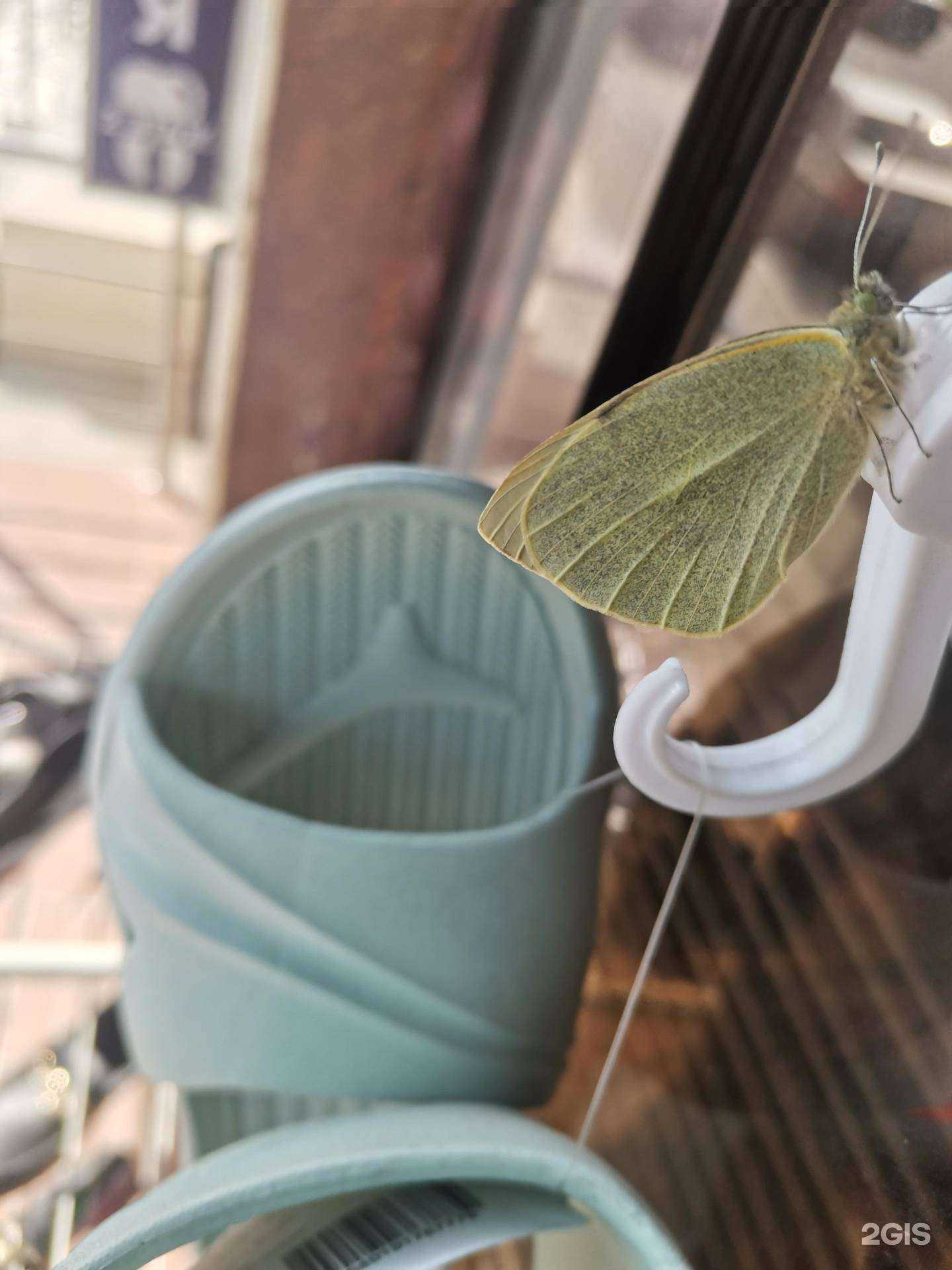 Отзывы на компанию Серебро Обувь в Махачкале c фото