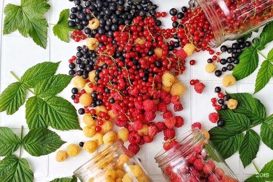 Отзывы на компанию Siberian wellness ЗОЖ в г. Малоярославец c фото