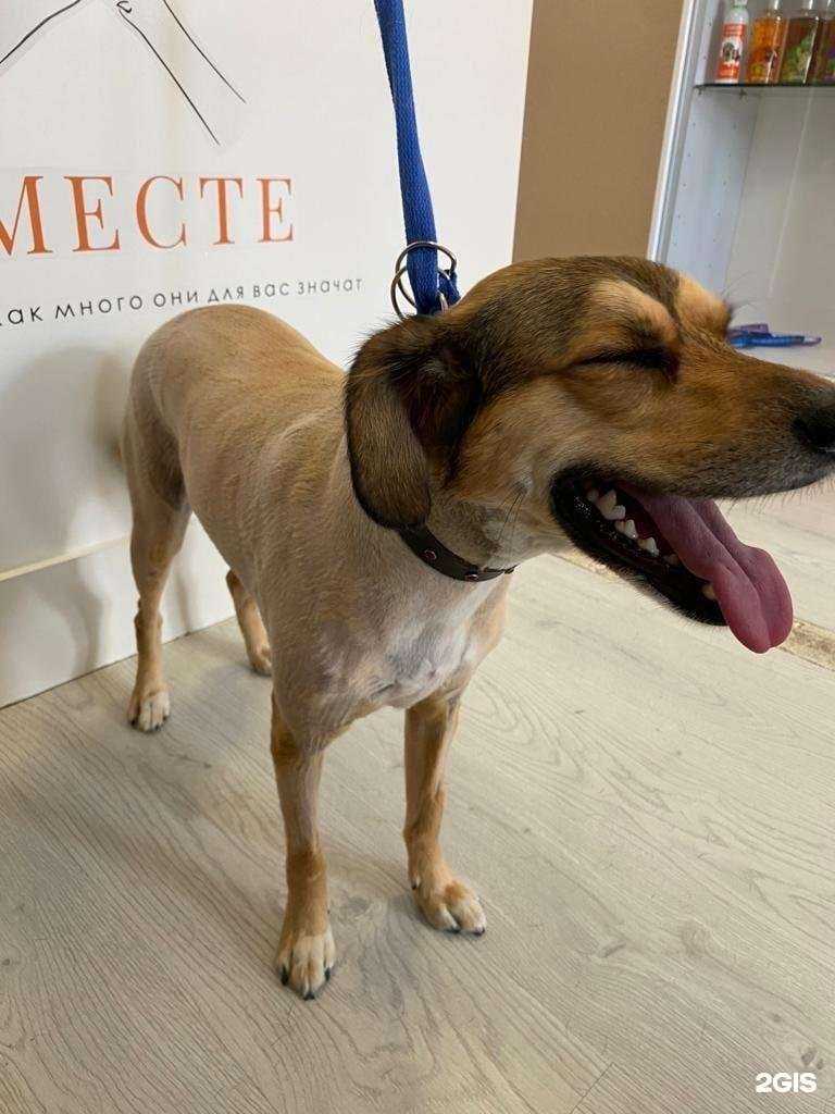 Отзывы на компанию Вместе в г. Майкоп c фото