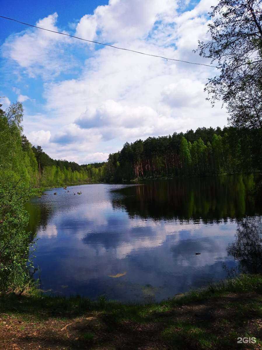 Отзывы на компанию Миссис Фишер  в Екатеринбурге c фото