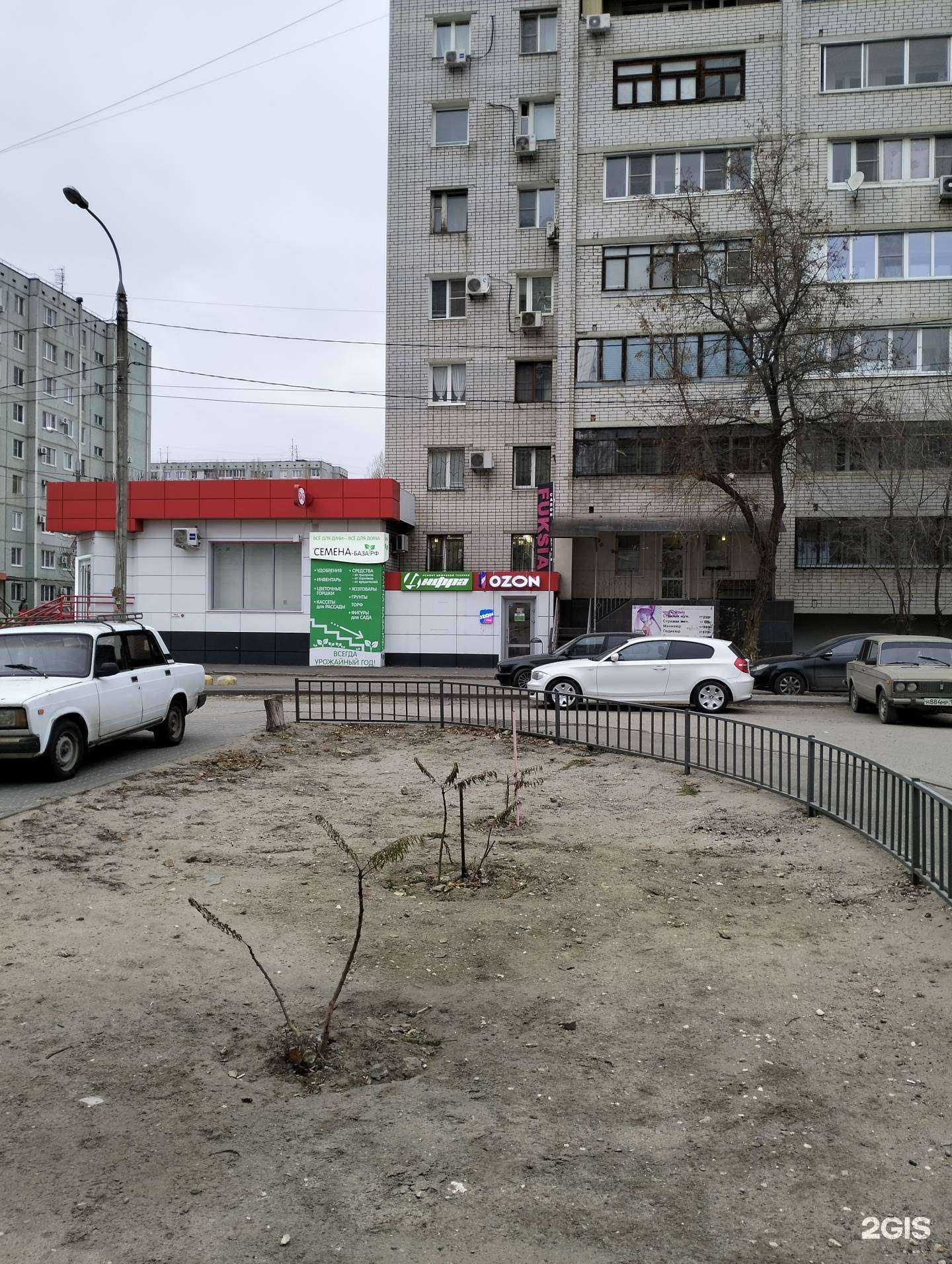 Отзывы на компанию Семена-база.рф в Волгограде c фото