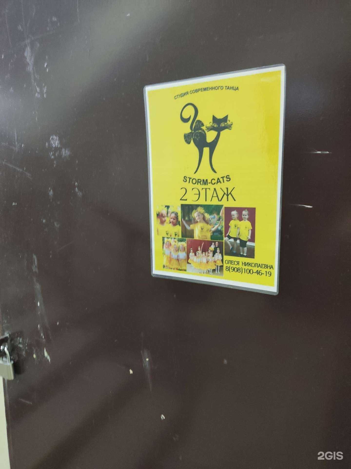 Отзывы на компанию Storm cats в г. Омск c фото