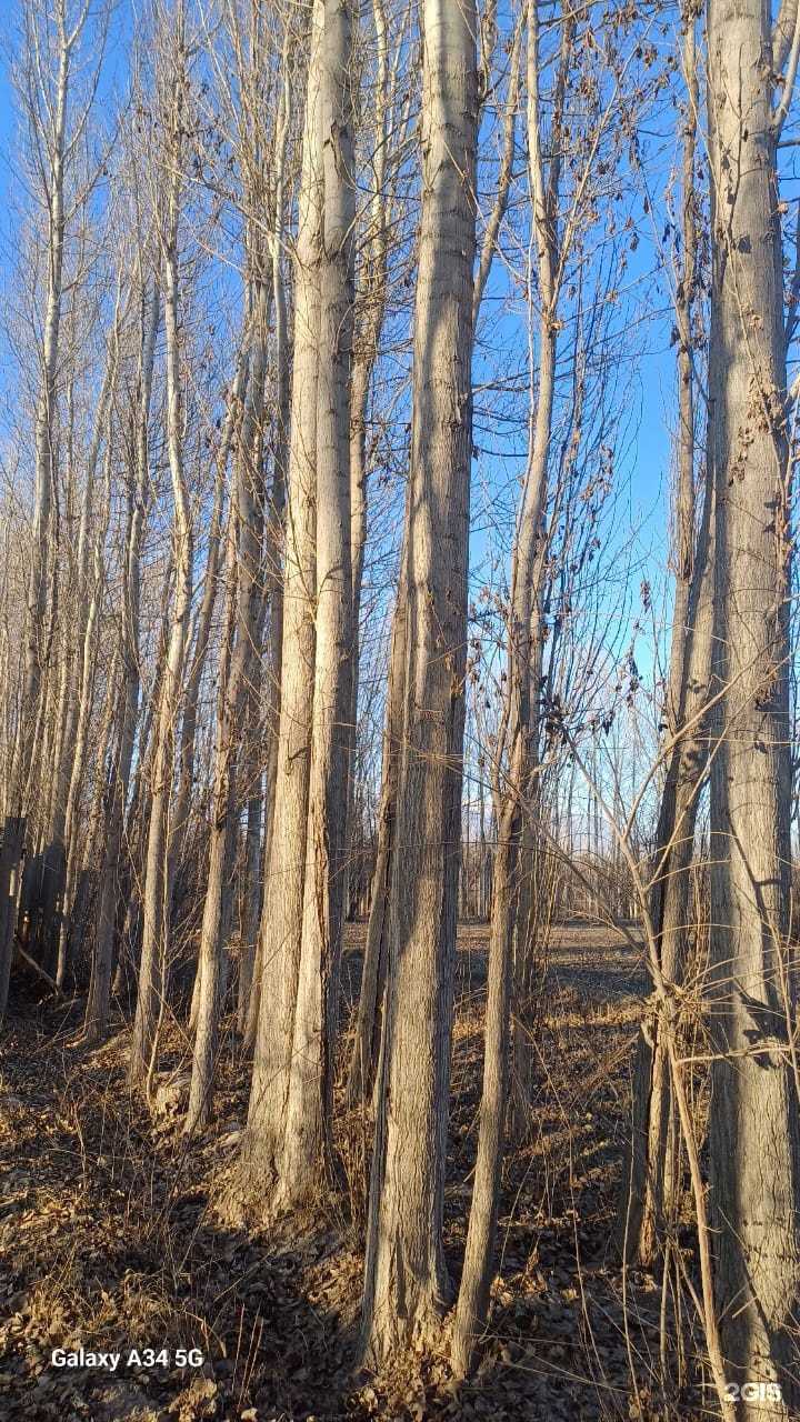 Отзывы на компанию Стекломаркет в Барнауле c фото - фотография 2 из 2