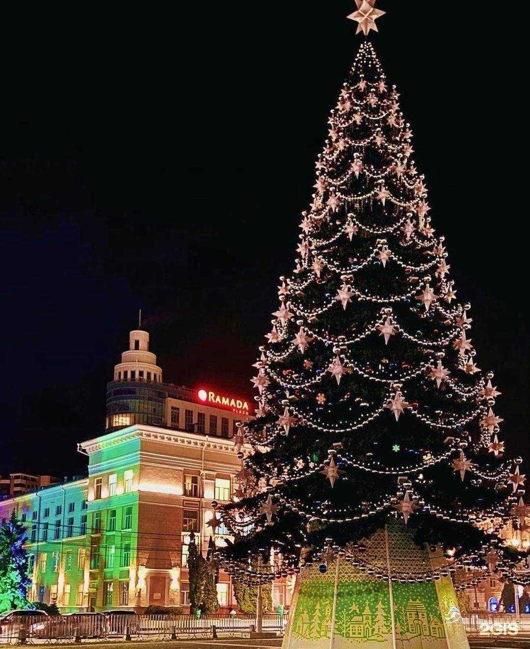 Отзывы на компанию Praxis в г. Воронеж c фото