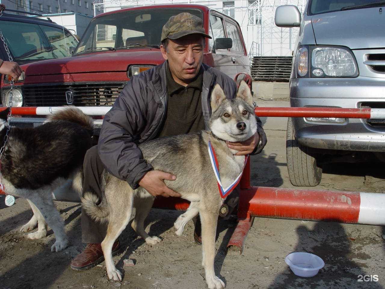Отзывы на компанию Байанай в Якутске c фото