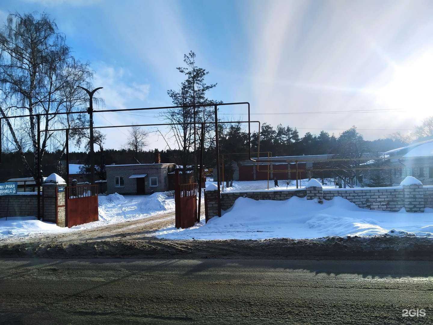 Отзывы на компанию Курская городская станция по борьбе с болезнями животных в Курске c фото