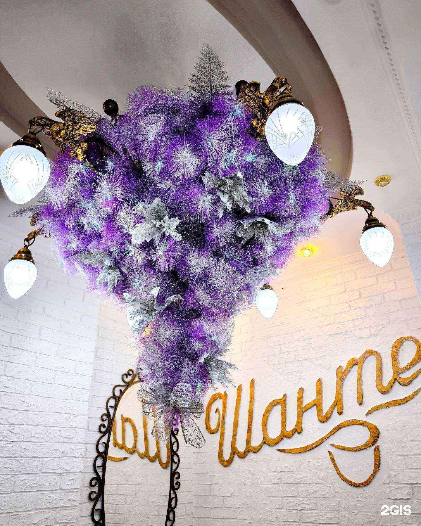 Отзывы на компанию Шанте в Северске c фото