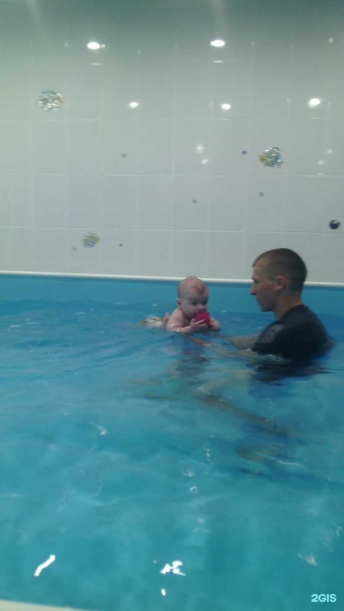 Отзывы на компанию Морские черепашки в г. Новосибирск c фото