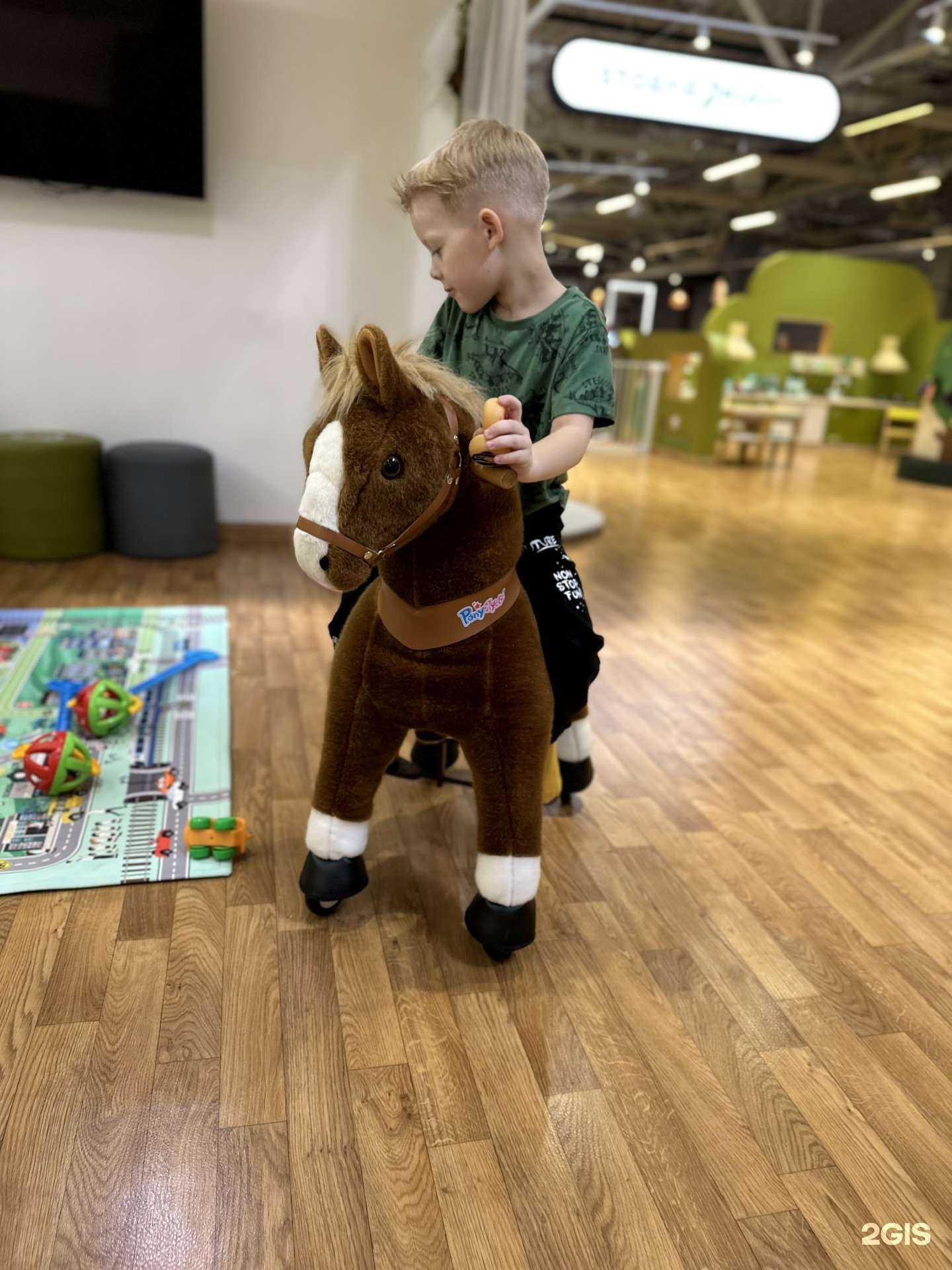 Отзывы на компанию Storyя garden в г. Южно-Сахалинск c фото