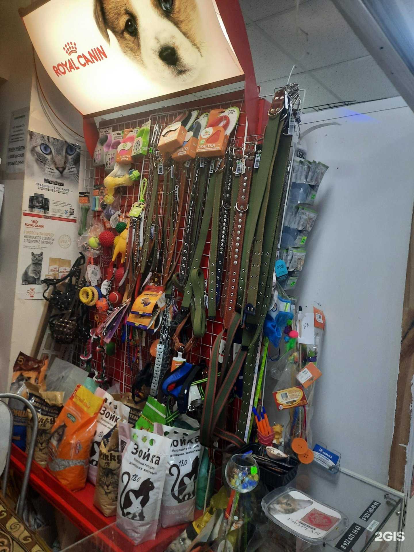 Отзывы на компанию Магазин зоотоваров в Оренбурге c фото