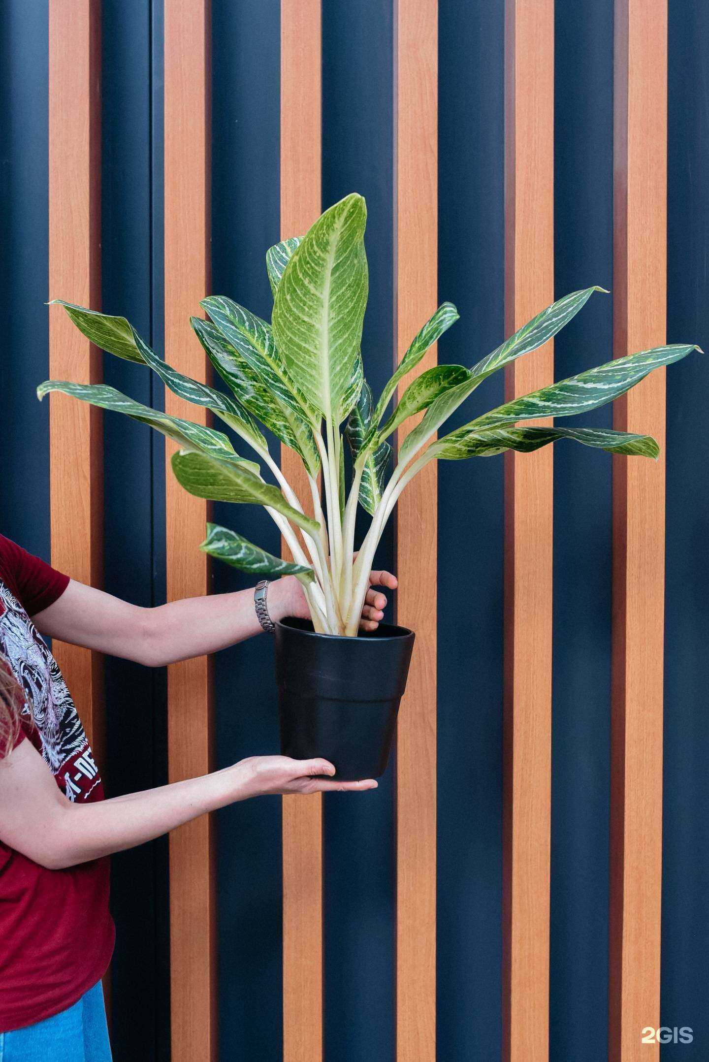 Отзывы на компанию Прутик в Челябинске c фото