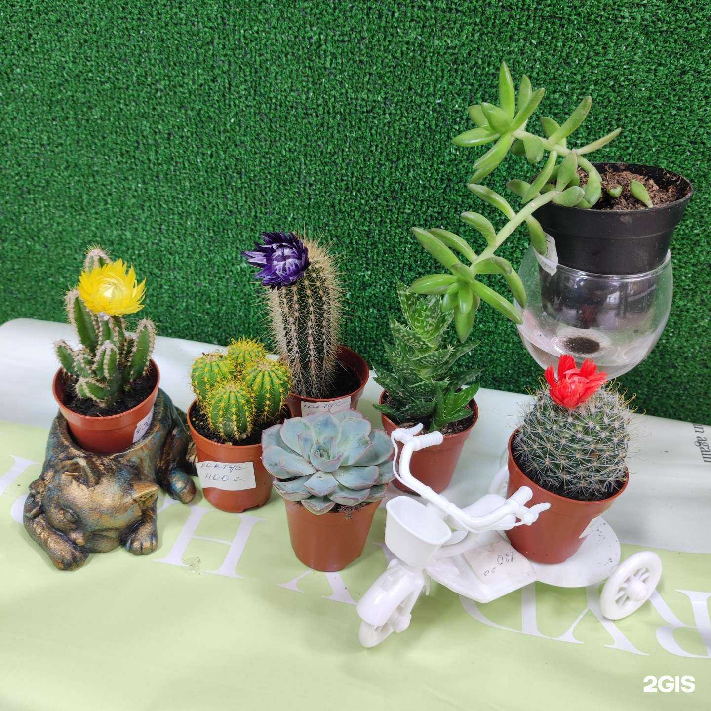 Отзывы на компанию Букетный Бар в Барнауле c фото