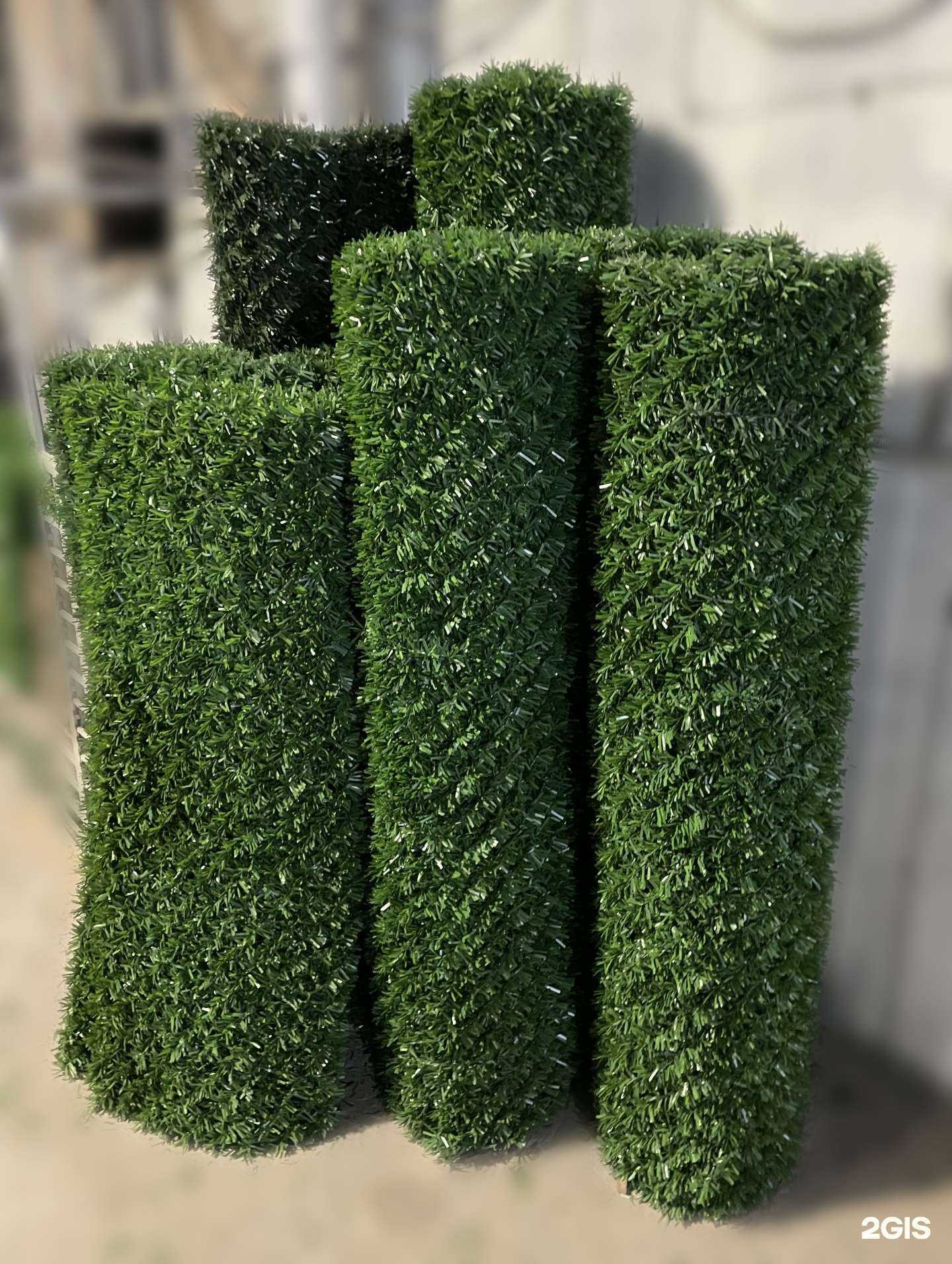 Отзывы на компанию Зелёная изгородь в г. Тюмень c фото