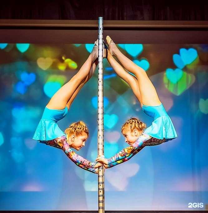 Отзывы на компанию Звезды манежа в г. Новосибирск c фото