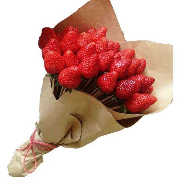 Отзывы на компанию Орхидея в г. Волгоград c фото