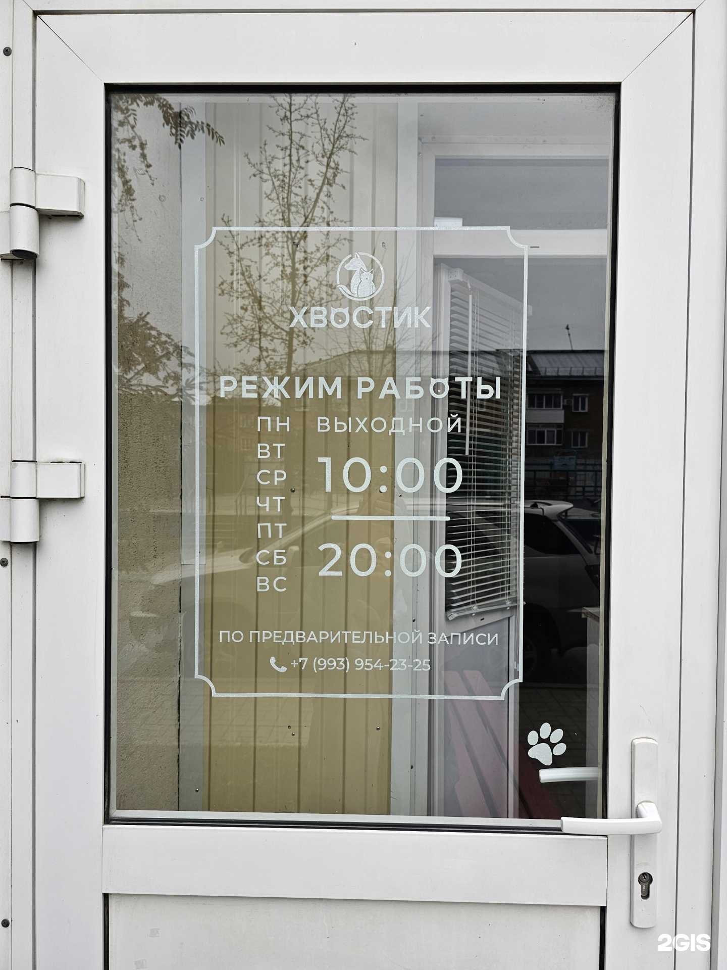 Отзывы на компанию Хвостик в г. Новосибирск c фото