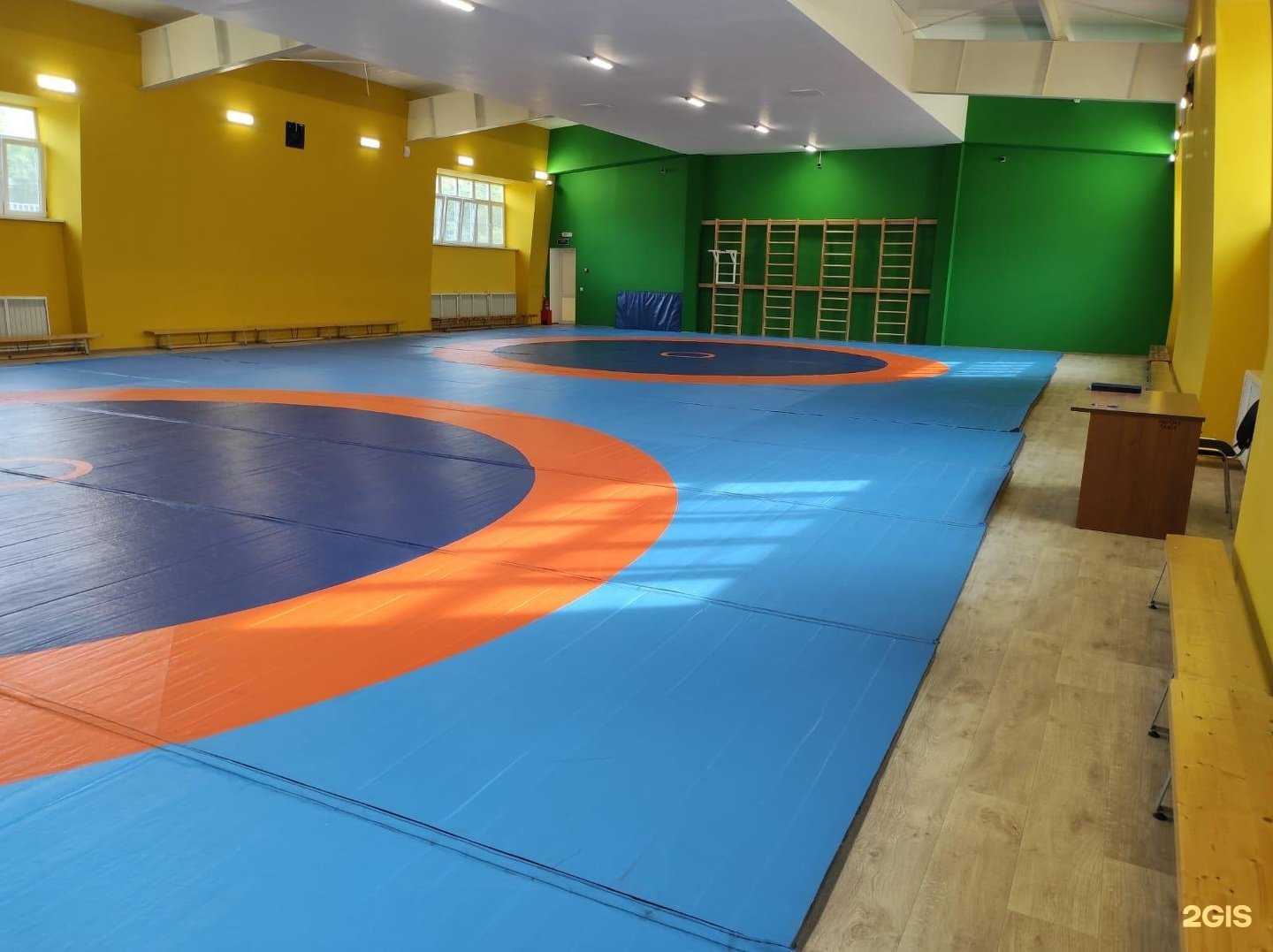 Отзывы на компанию СШОР №10 в г. Воронеж c фото