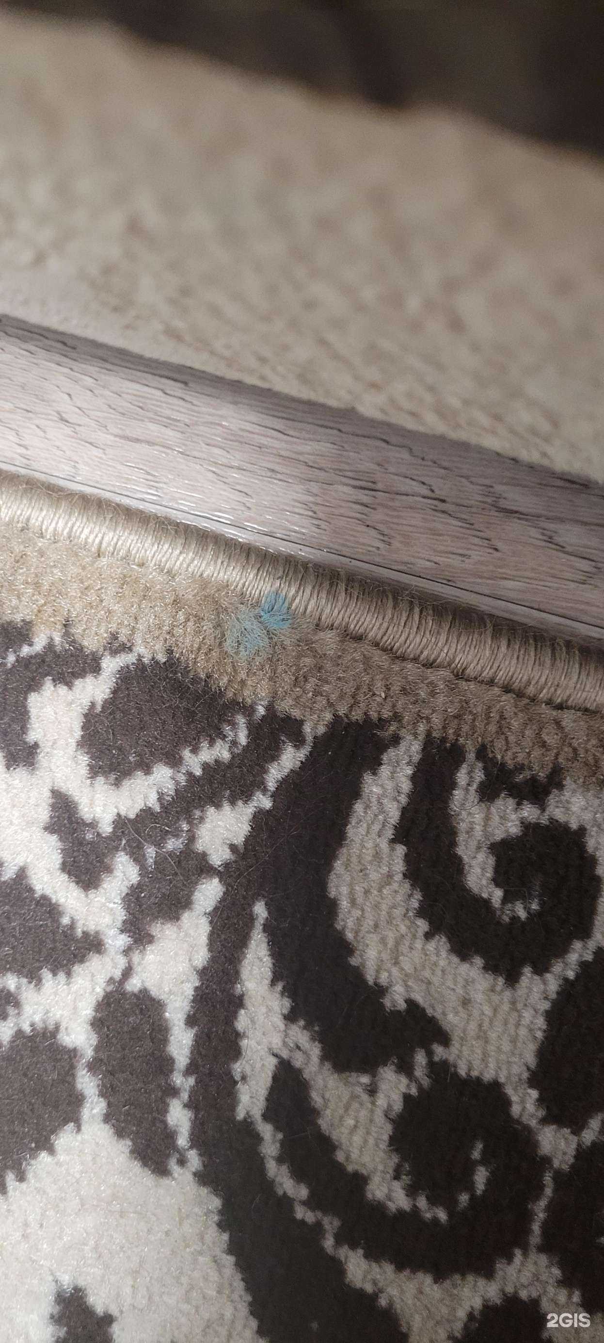 Отзывы на компанию Мой Ковер в Пензе c фото