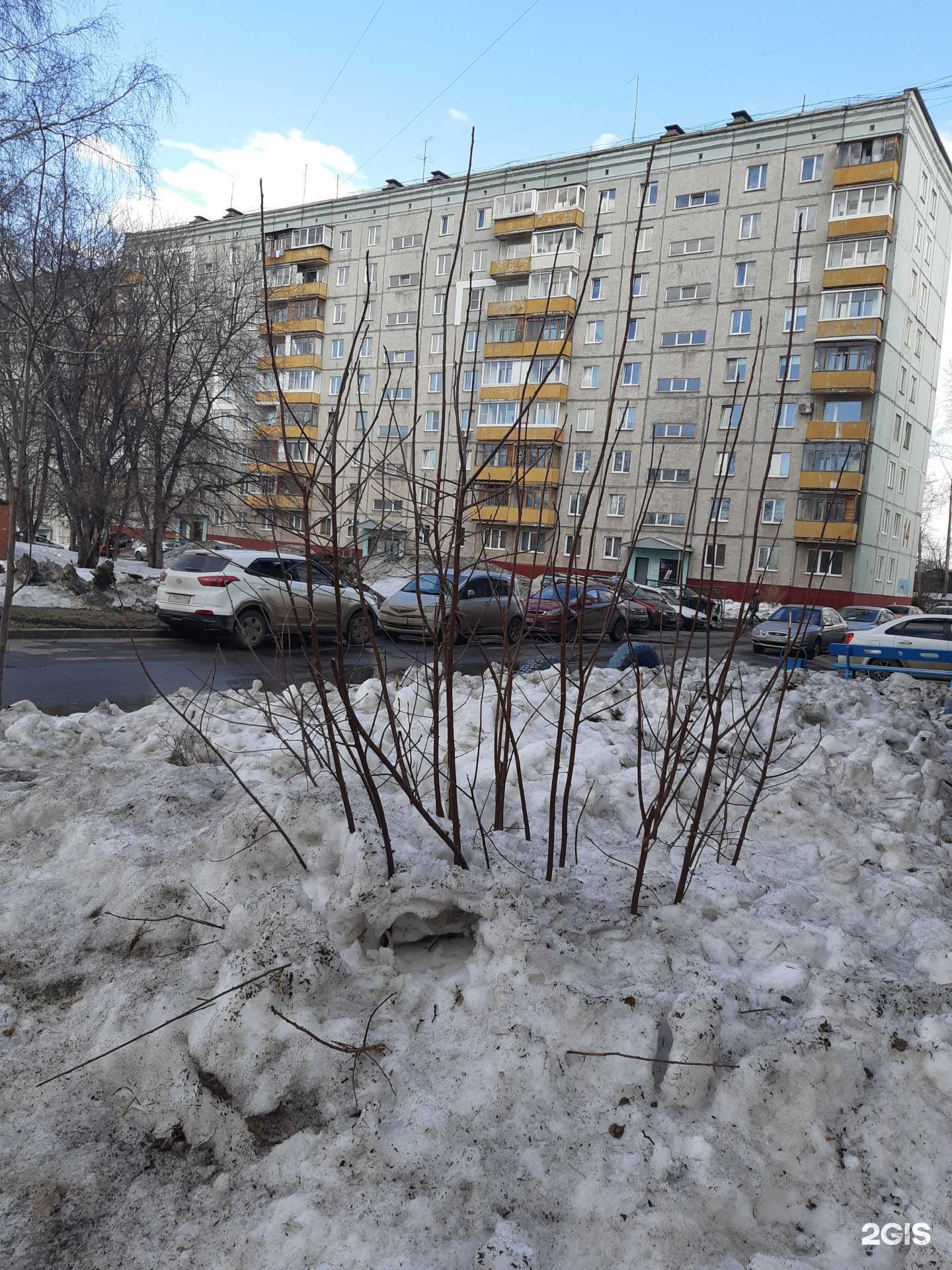 Отзывы на компанию Клининг №1 в Кемерове c фото - фотография 2 из 2