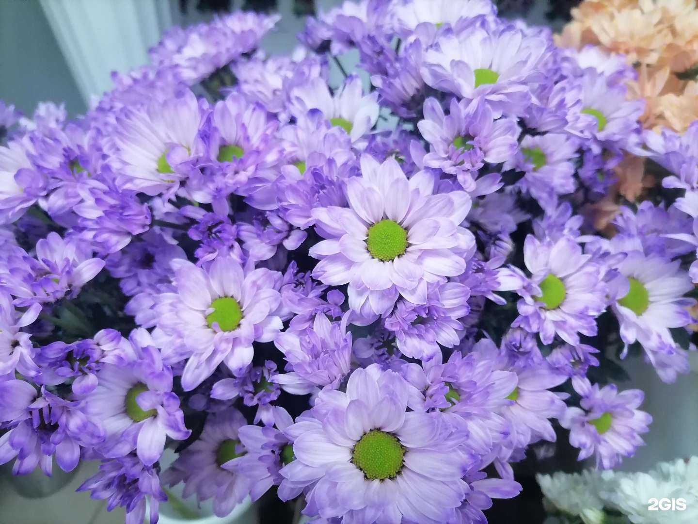 Отзывы на компанию Цветы у Насти в г. Екатеринбург c фото