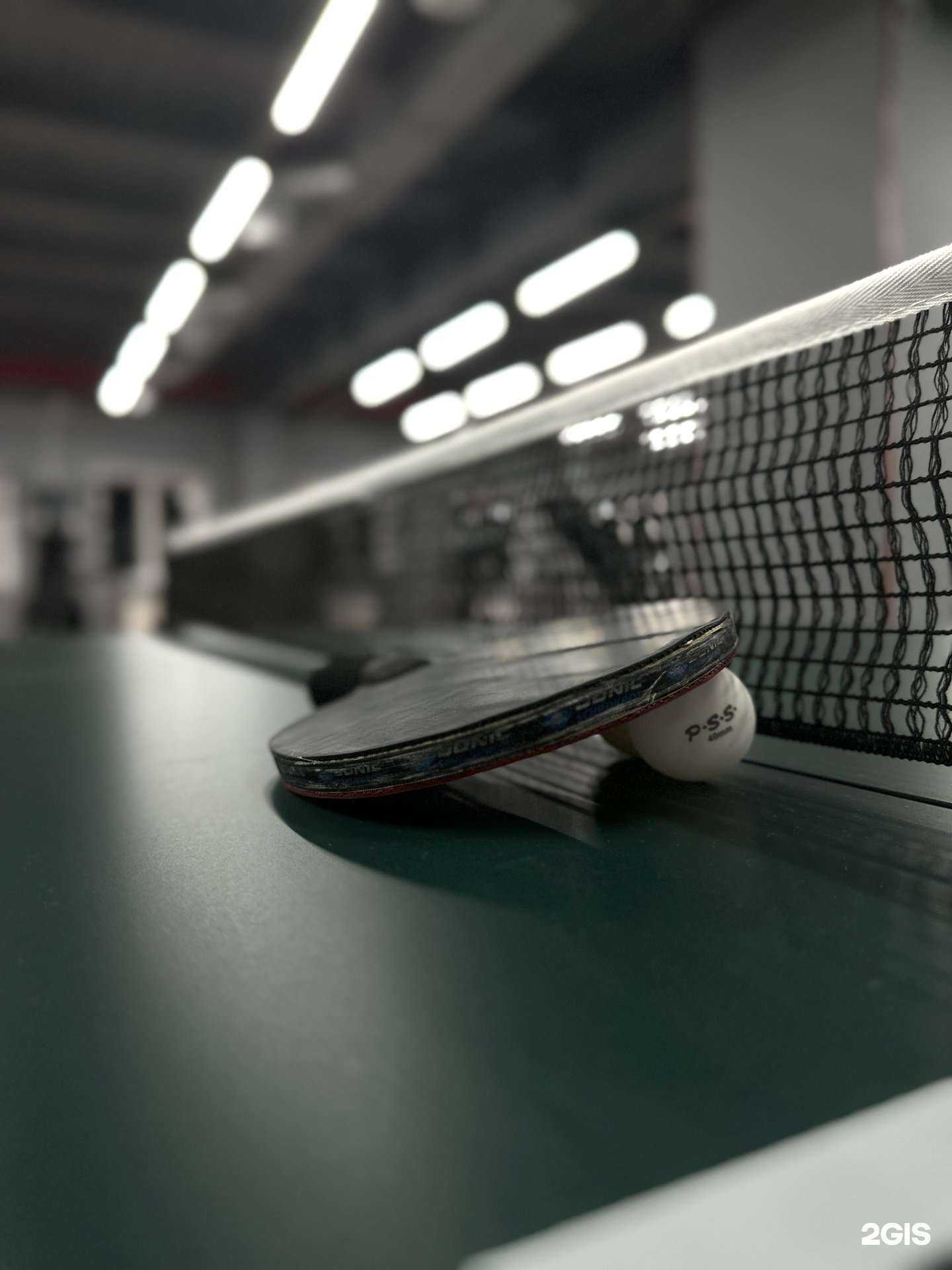 Отзывы на компанию Терра Нова в г. Златоуст c фото