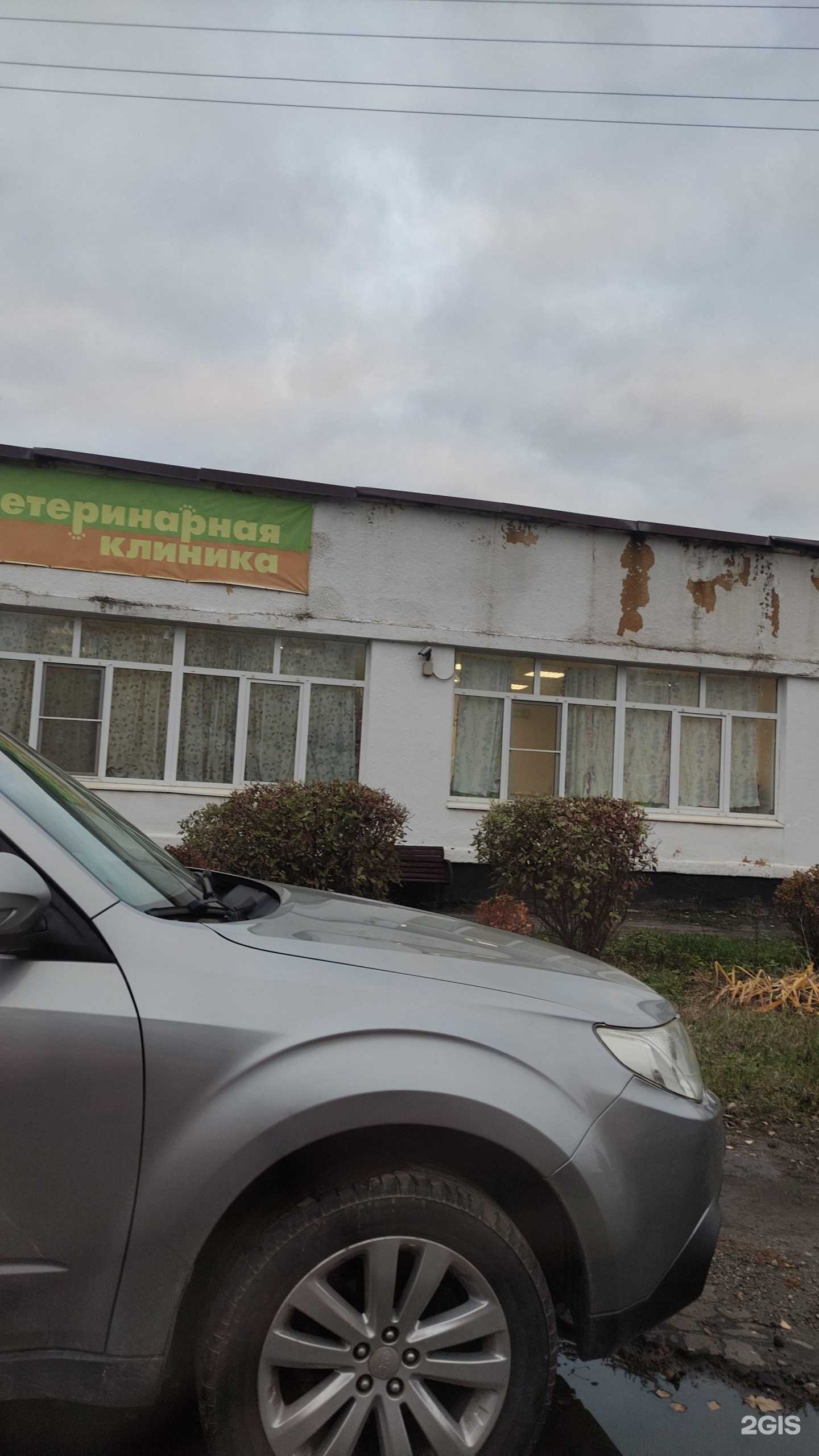 Отзывы на компанию Лимпопо в Ступине c фото - фотография 2 из 2