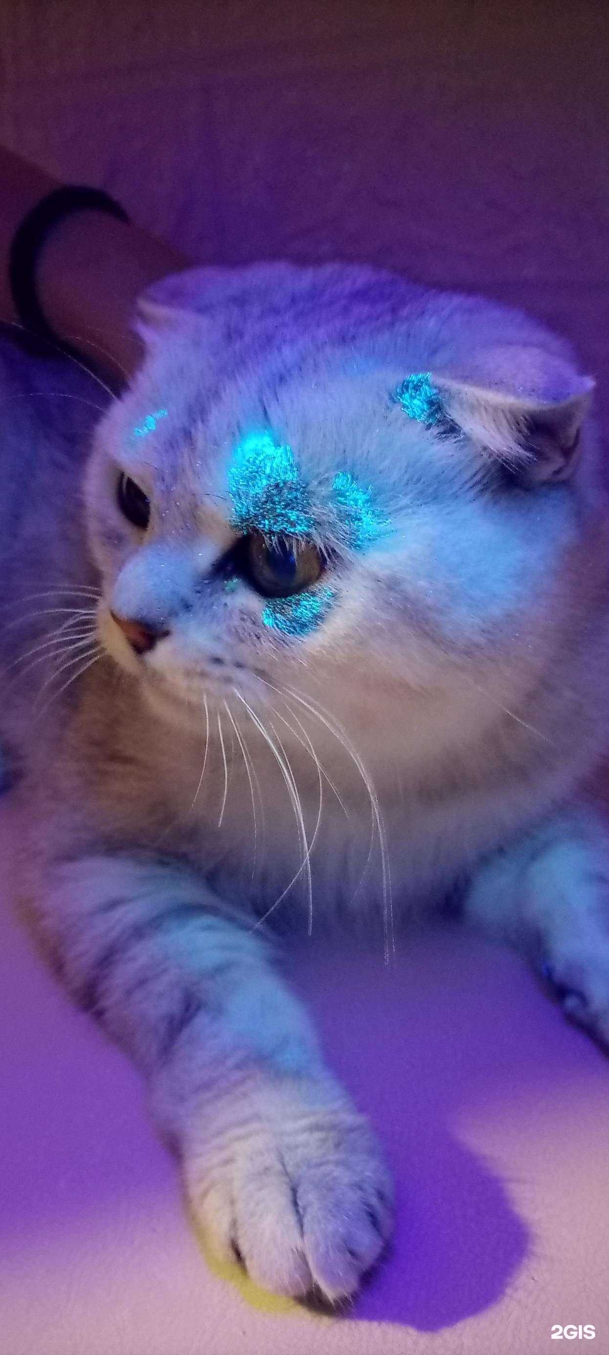 Отзывы на компанию Зоолайф в Набережных Челнах c фото