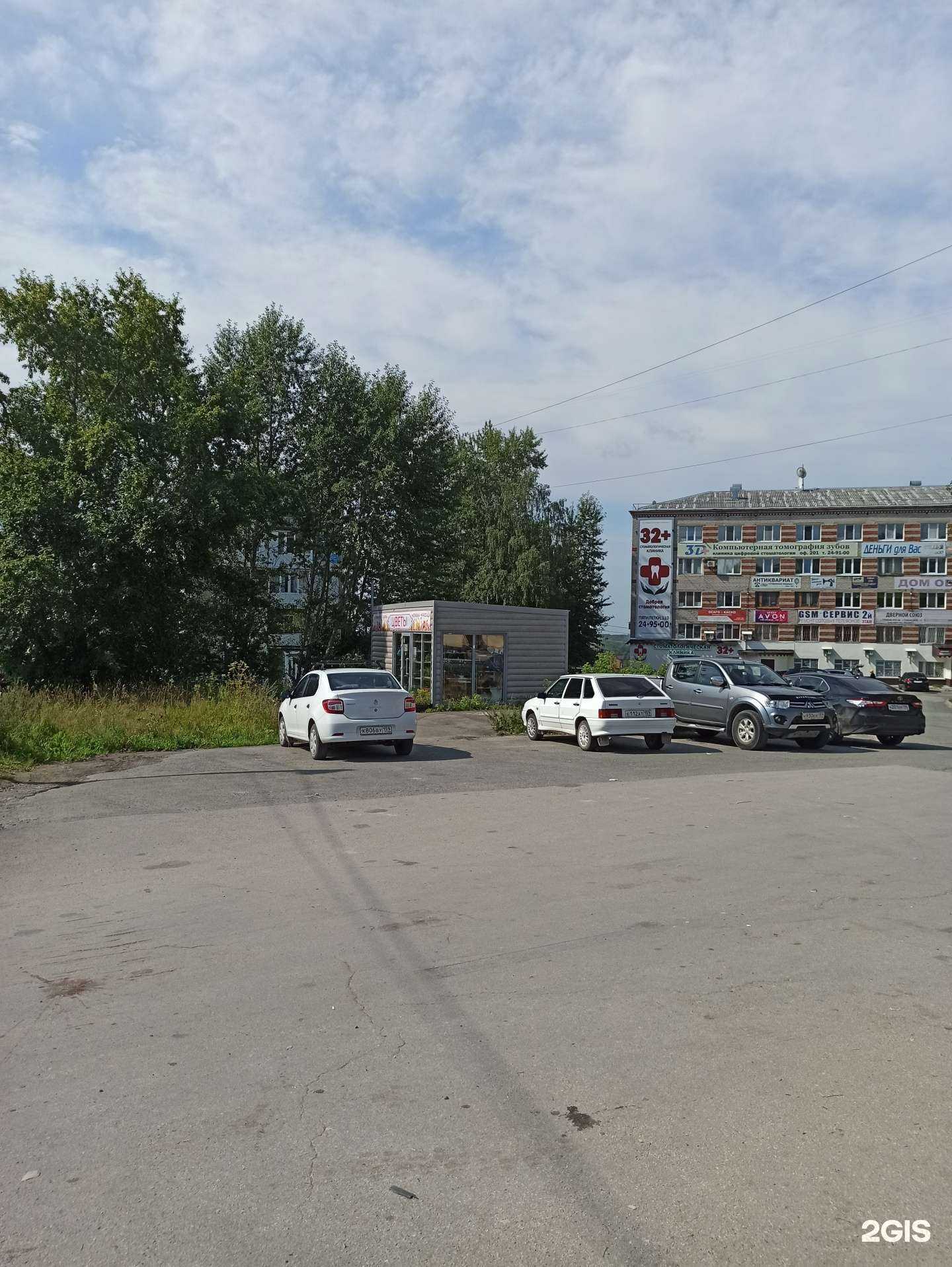 Отзывы на компанию Магазин цветов и семян в г. Березники c фото