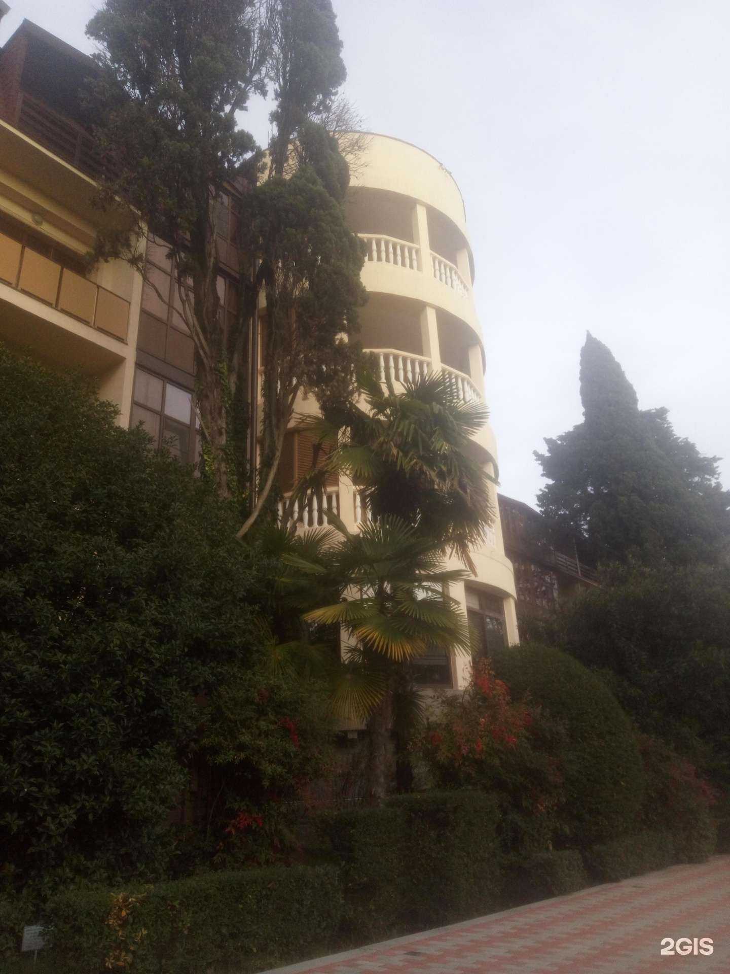 Отзывы на компанию Luciano vita club в Сочи c фото