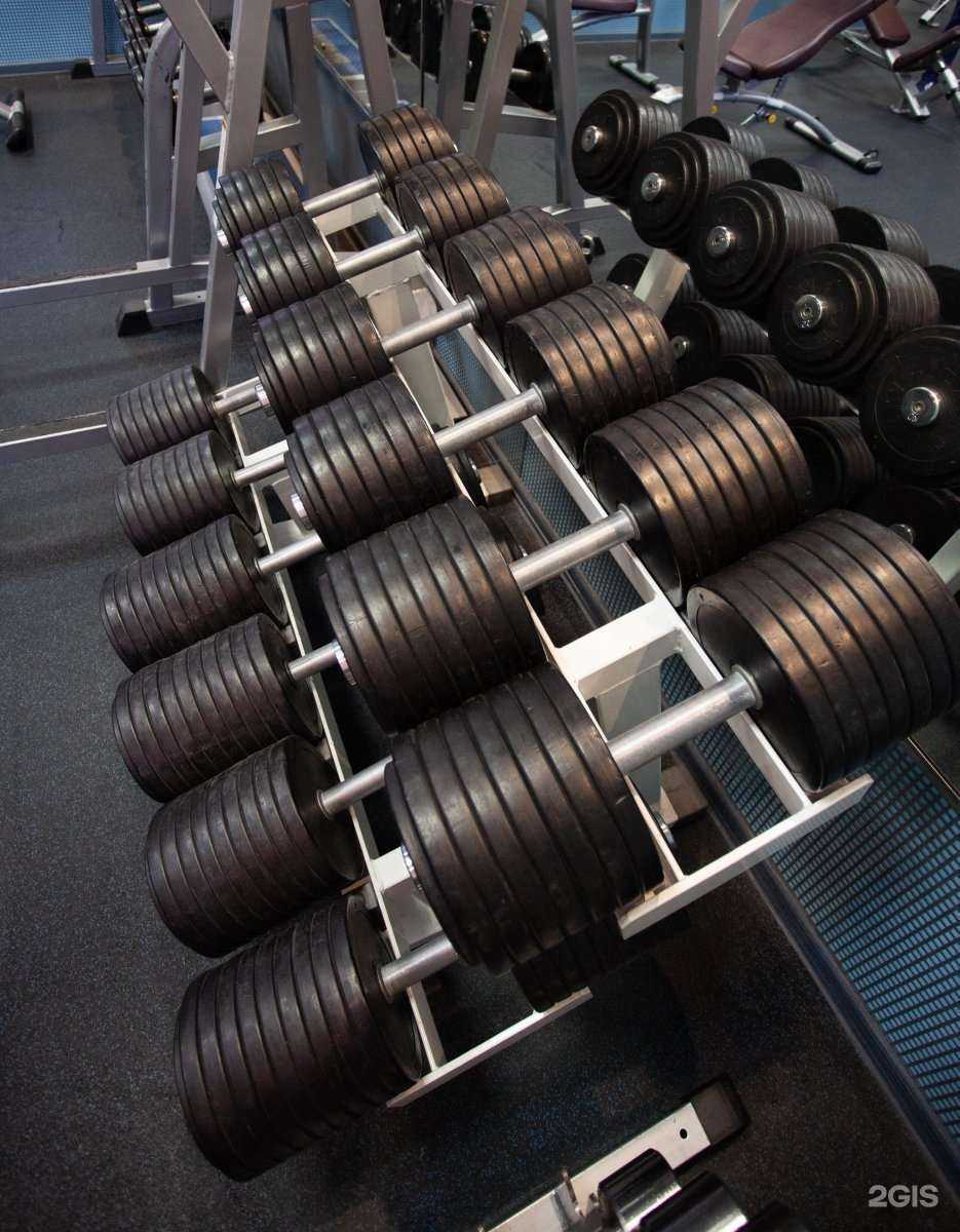Отзывы на компанию Olymp Gym в Перми c фото