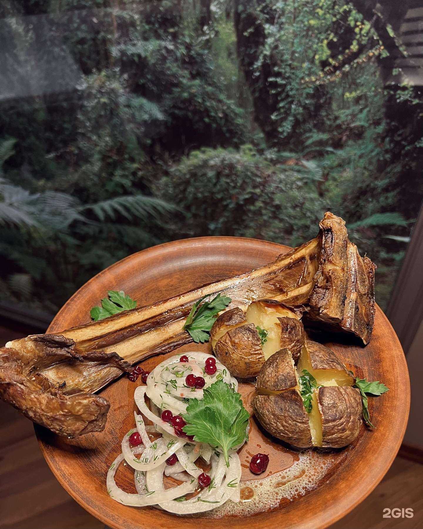 Отзывы на компанию The Forest в Сыктывкаре c фото