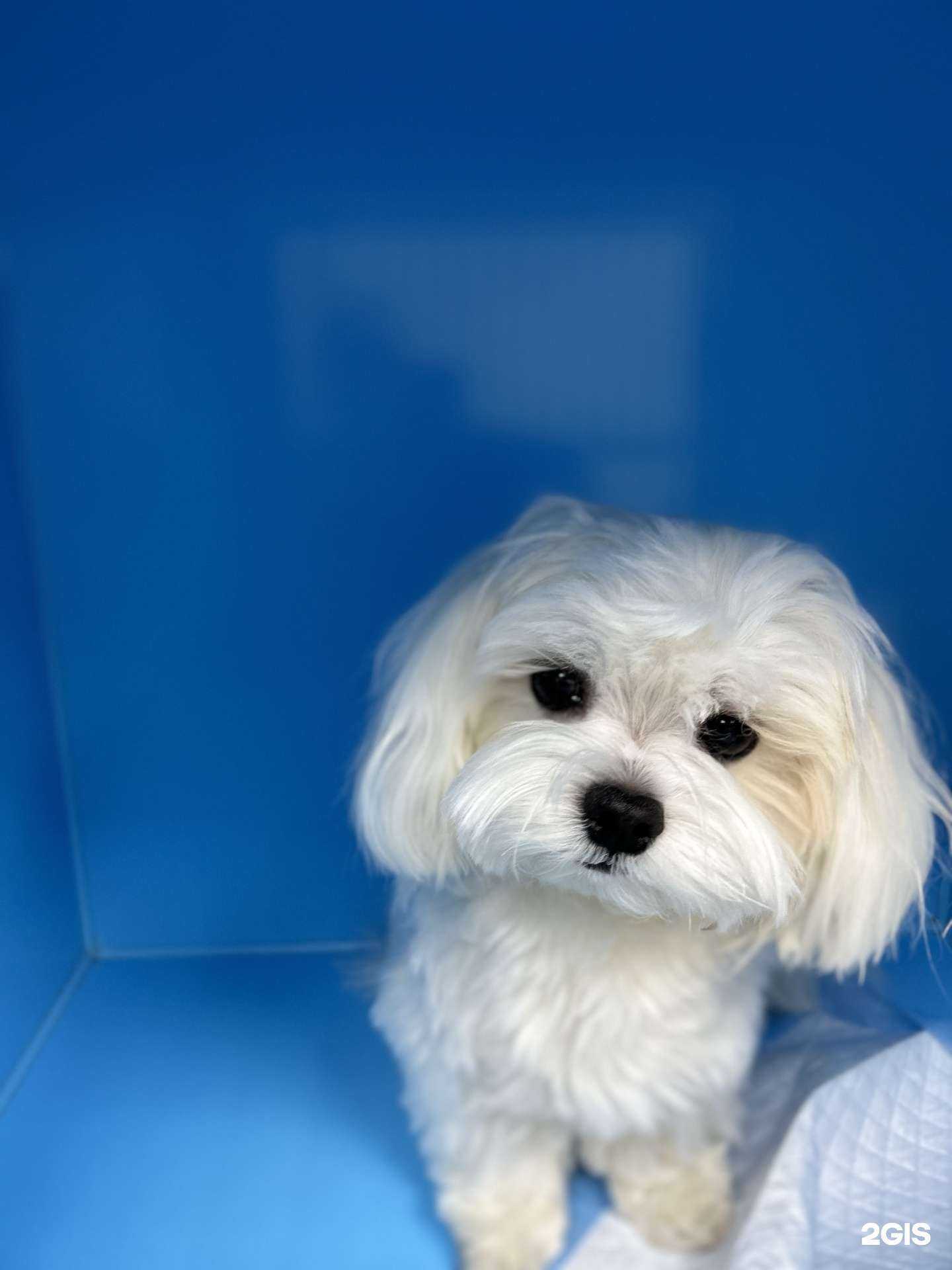 Отзывы на компанию Бетховен в Красноярске c фото