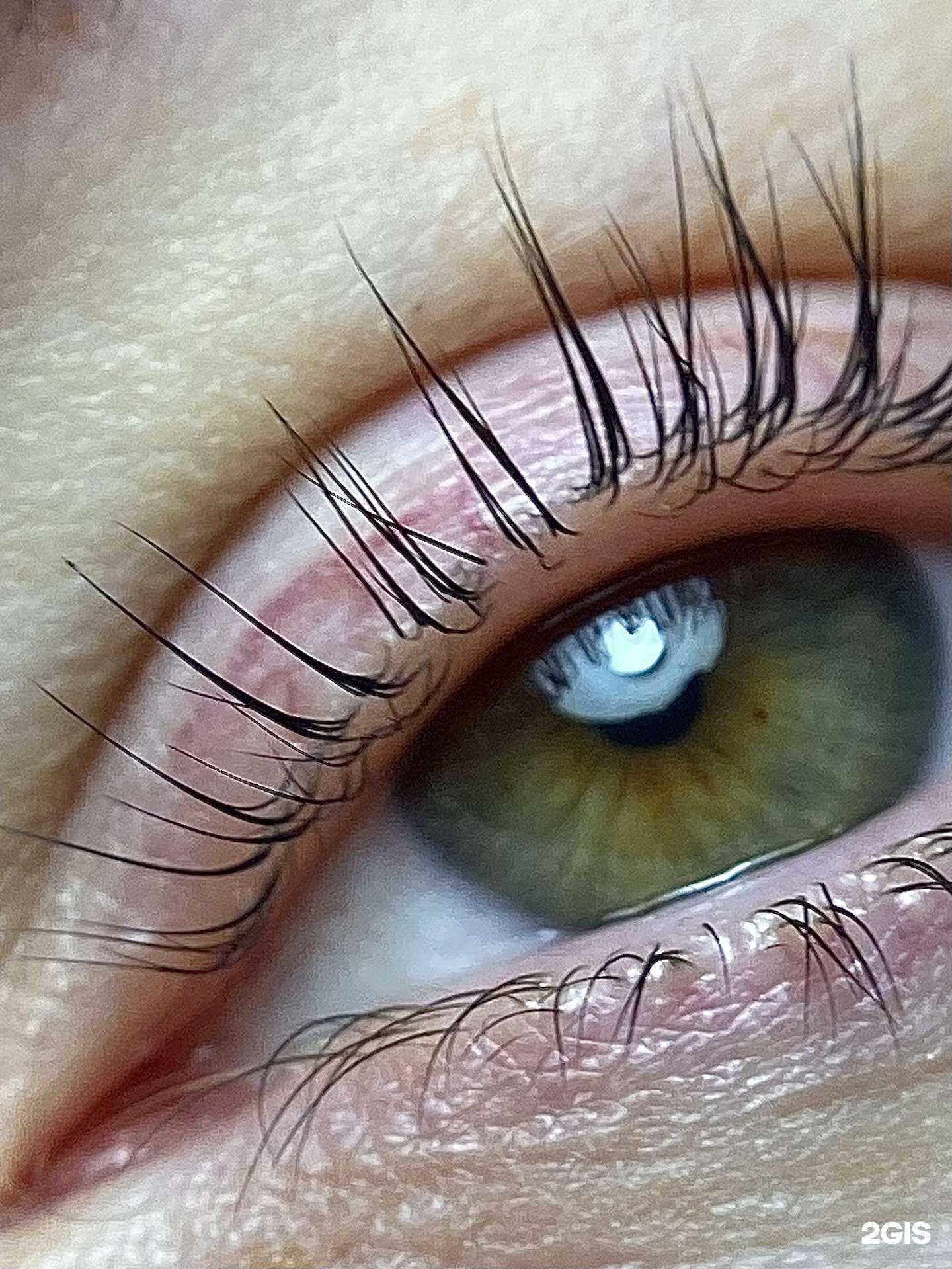 Отзывы на компанию Lash with brows в г. Нижний Новгород c фото