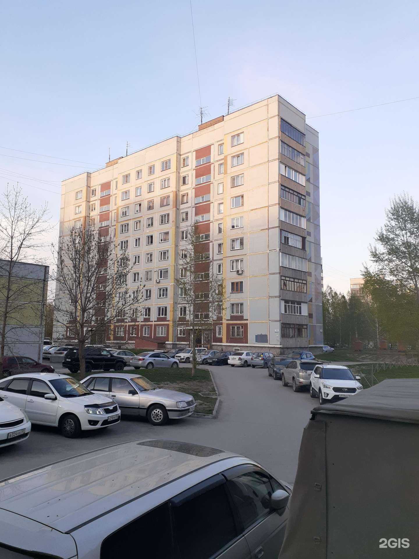Отзывы на компанию Городская ветеринарная служба в Новосибирске c фото