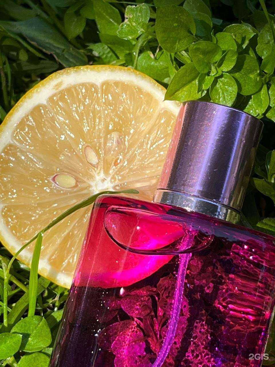 Отзывы на компанию Royal Oil в Красноярске c фото