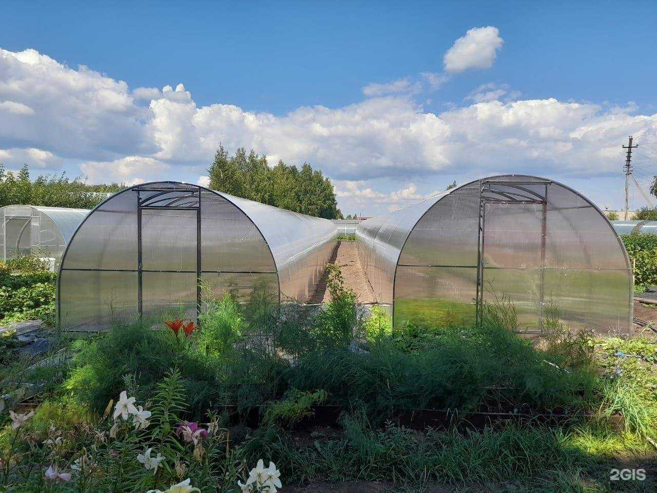 Отзывы на компанию Армада в г. Нижнекамск c фото