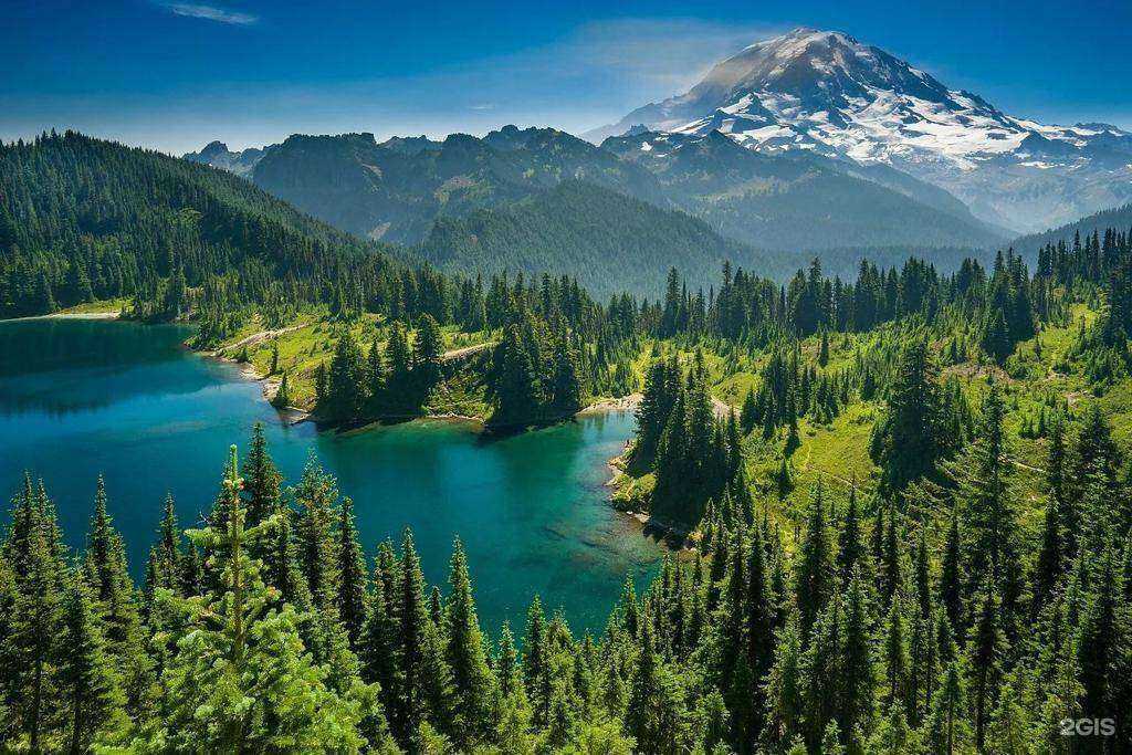 Отзывы на компанию Алтай лес в г. Нижний Тагил c фото